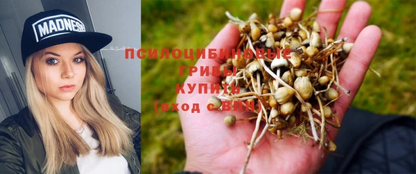 spice Абдулино