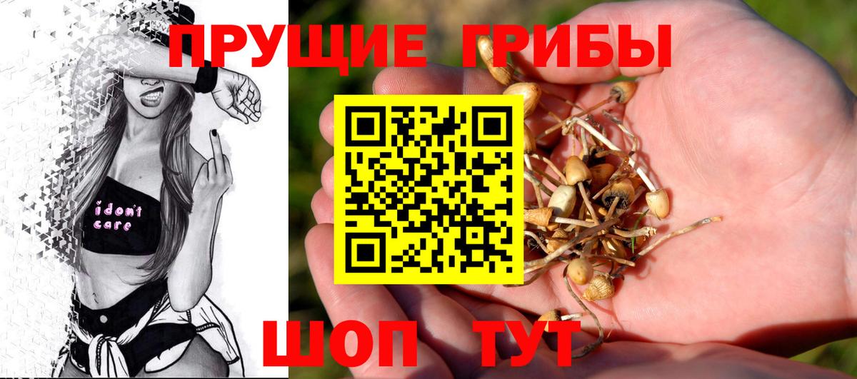 Псилоцибиновые грибы прущие грибы Ишимбай