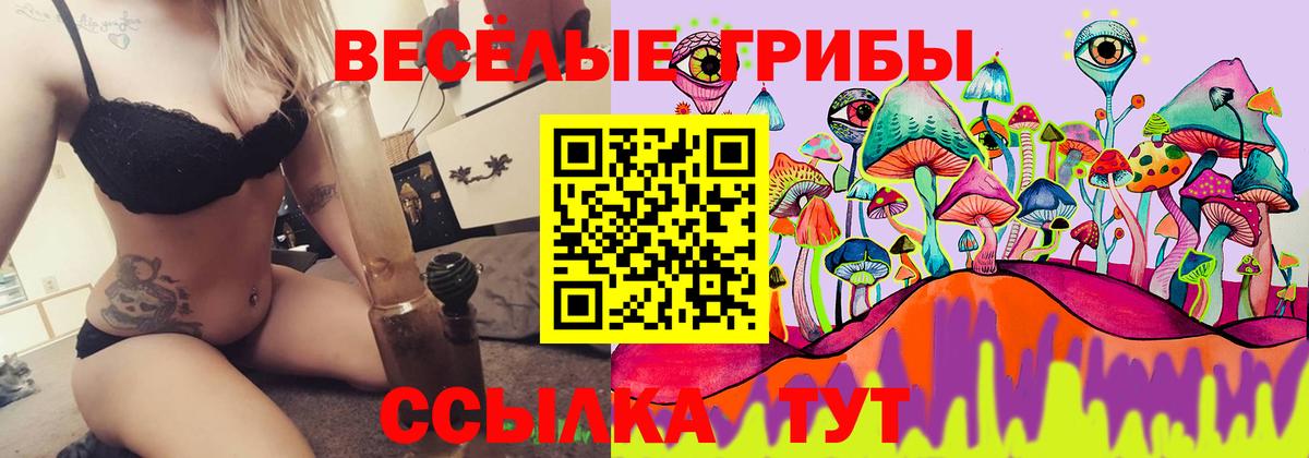 Псилоцибиновые грибы мухоморы  Вход с VPN  Ишимбай 