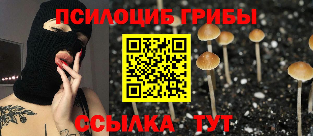 ГАШ  Канабис  Ишимбай  Cocaine  АМФ кристаллы  MDMA  Вход с VPN  Меф  